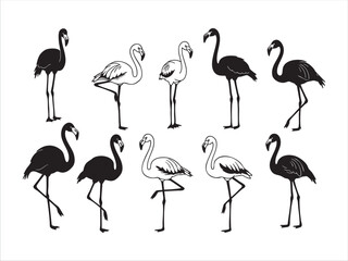 Flamingo Icons Set – Minimal Vector Art of Tropical Bird
