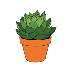 Vibrant green succulent plant in terracotta pot hand drawn botanical art garden decor vector