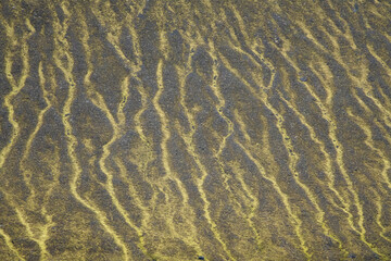 Icelandic Highlands in summer