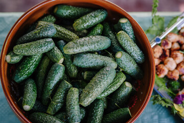 Fresh green cucumbers arranged in a rustic bowl, showcasing vibrant colors and textures, perfect...