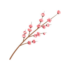 Delicate pink cherry blossom branch isolated delicate spring flower bloom nature beauty flora vector