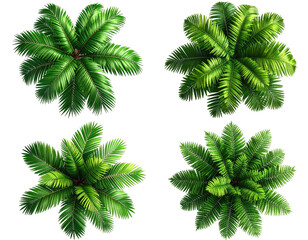 Naklejka premium Four overhead shots of vibrant, detailed palm tree canopies against a contrasting black backdrop