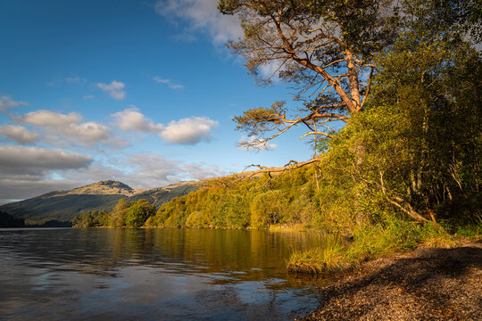 A sunny, autumnal HDR image of Loch Eck looking north from the shore of Jubilee point picnic site, Argyll and Bute, Scotland.
