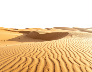 A sun-drenched desert scene featuring undulating sand dunes beneath a stark black sky