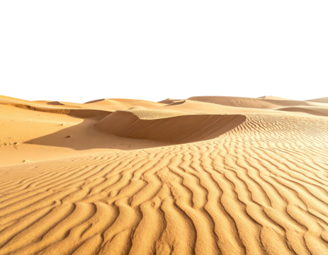 A sun-drenched desert scene featuring undulating sand dunes beneath a stark black sky