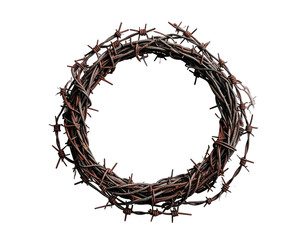 Fototapeta premium A circular object crafted from rusted barbed wire against a stark black backdrop