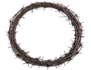 Isolated image of a circular, weathered crown, composed of intertwined barbed wire, on black background
