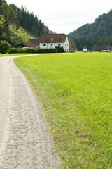 Path Through Green Meadow with Forest in the Background and Beautiful House
