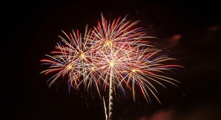 Obraz premium Colorful fireworks explode in a night sky with bright sparks and vibrant colors