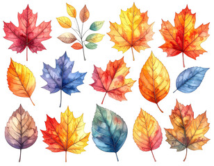 Obraz premium A collection of colorful watercolor leaves in various shapes, sizes, and shades of autumn