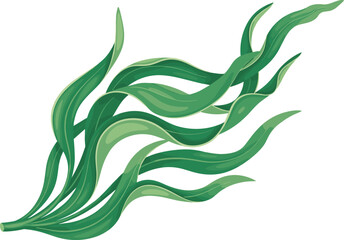Flowing green seaweed, underwater kelp leaves, marine plant illustration, botanical vector, ocean ecosystem graphic, aquatic nature art, swaying fronds design