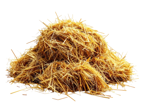Close-up of golden hay, a stacked pile, isolated against a transparent black background