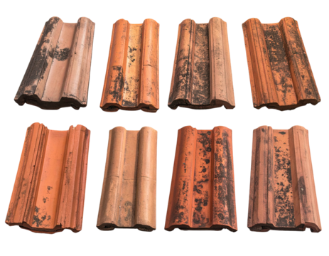 Overhead shot of eight weathered terracotta roof tiles, showcasing varied textures and color