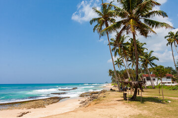 View of the turquoise waves crashing against the sandy shore lined with towering palm trees under a bright blue sky, Coconut beach, Weligama, Sri Lanka.