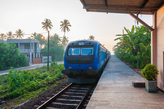 View of a blue train gleaming on the tracks at a station, surrounded by lush greenery and palm trees under a bright sky, Kandy, Central Province, Sri Lanka.