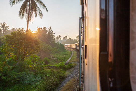 View of a train curving through lush greenery under the golden sun, glimpsed from another train, creating a vibrant scene, Kandy, Central Province, Sri Lanka. - Powered by Adobe