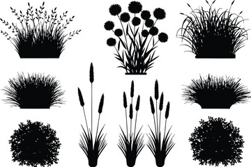 Black silhouettes of various plants and grasses black and white