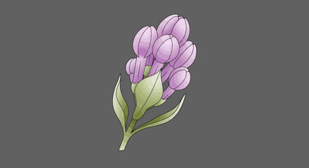 Purple flower buds with green leaves on a gray background illustration