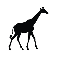 Silhouette of a giraffe walking gracefully across a solid white background., giraffe walking silhouette vector illustration