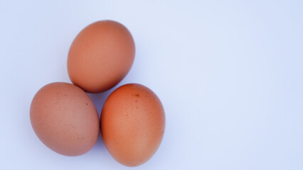three eggs isolated on white background