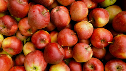 red ripe apples as background