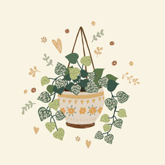 illustration of hanging house plant 