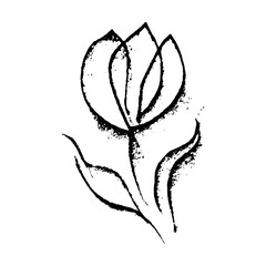 flower hand drawn with pencil lines.