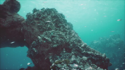 Beneath the crystal clear surface, a coral reef showcases a tapestry of textures and colors. Small fish dart among the rocks, creating a lively underwater scene filled with wonder.