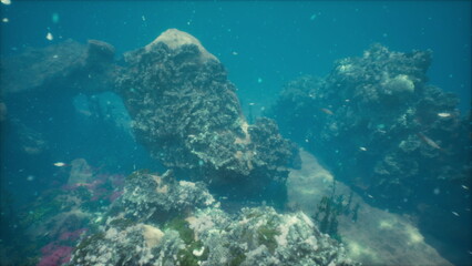 Beneath the waters surface, colorful corals and rocks create a stunning underwater landscape. Schools of small fish swim around, adding life to the serene setting.