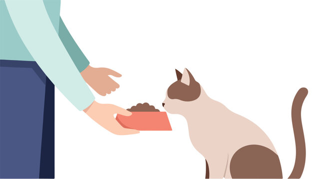 A person's hands gently hold a pet food bowl filled with dry kibble for a Siamese cat to eat from, illustrating pet care and feeding time - Powered by Adobe