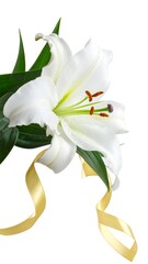 Elegant white lily blooms with green leaves and golden ribbon swirls