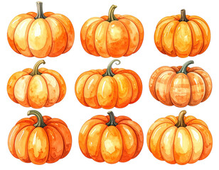 Obraz premium Nine vibrant, watercolor-style orange gourds, showcasing varied shapes and highlights