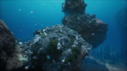 Beneath the surface, colorful corals thrive among large rocky formations. Fish swim gracefully, showcasing the beauty and diversity of underwater ecosystems.