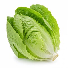Romaine lettuce isolated on a white background