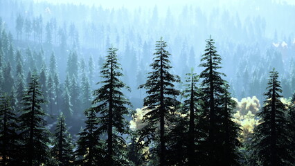 Tall pine trees create a captivating silhouette against a misty morning sky. The tranquil forest is filled with soft light, highlighting the beauty of nature at dawn, evoking peace and serenity.