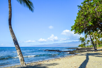 Palmen Strand auf Hawaii, USA 