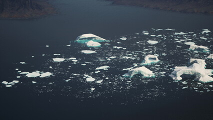 Glistening icebergs drift in calm waters of a serene fjord under clear skies. The scene captures the raw beauty of nature in an untouched landscape, inviting admiration and wonder. © icetray