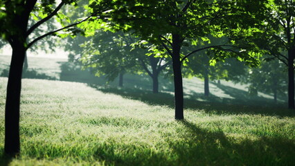 Obraz premium Gentle sunlight streams through delicate leaves, illuminating a tranquil green field. Tall trees create a peaceful atmosphere, inviting moments of reflection and calm.
