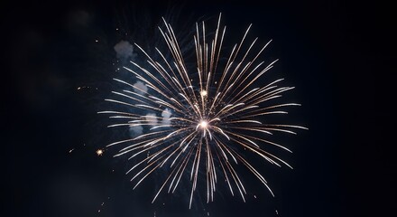 Spectacular burst of a single, bright, golden firework exploding in the night sky, creating a dazzling display of light and sparks