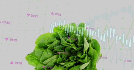 Resting green lettuce on white backdrop, with grid, cyan bars, line graphs and purple time markers