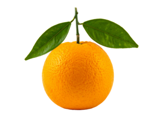 naranja primer plano