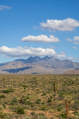 Four Peaks Mountains in Arizona vertical photo