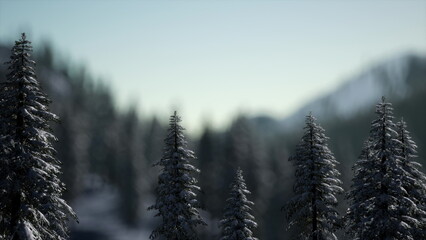 In a serene forest, tall pine trees covered in fresh snow create a peaceful scene. The soft light of dawn casts a gentle glow, illuminating the frosty landscape. Mountains rise in the background.