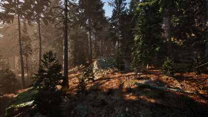 Soft sunlight filters through tall trees in a peaceful forest. The ground is covered with brown leaves and green moss, creating a tranquil atmosphere at dawn.