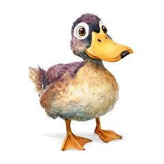 Duck, watercolor drawing vector, isolated on a white background.