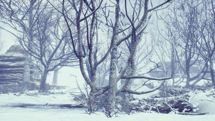 Snow blankets the ground in a serene winter scene. Bare trees stand tall against the white backdrop, creating a tranquil atmosphere. The soft light casts shadows that add depth.