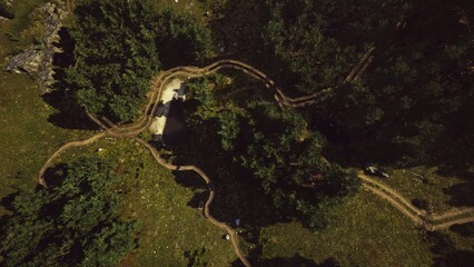 Aerial view showcases winding dirt trails weaving through a lush green forest. A small cabin peeks through the trees, surrounded by natural beauty and tranquility during bright daytime.