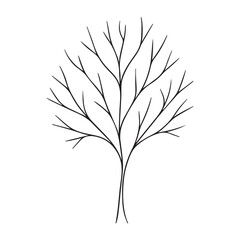 silhouette of a tree