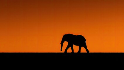 Silhouette of an elephant walking across a horizon against a vivid orange sky at sunset