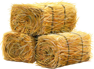 watercolor hand drawn straw bales